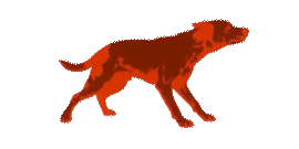 Loop of a running dog